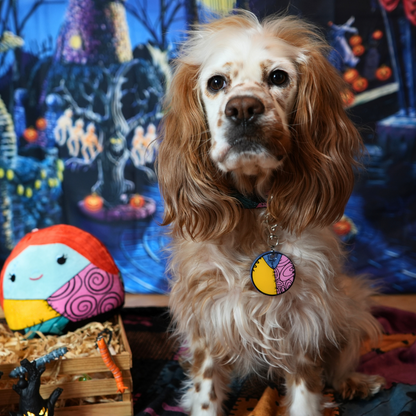 Perro posando con placa temática de Sally y fondo spooky. Accesorio ideal para fotos de temporada.