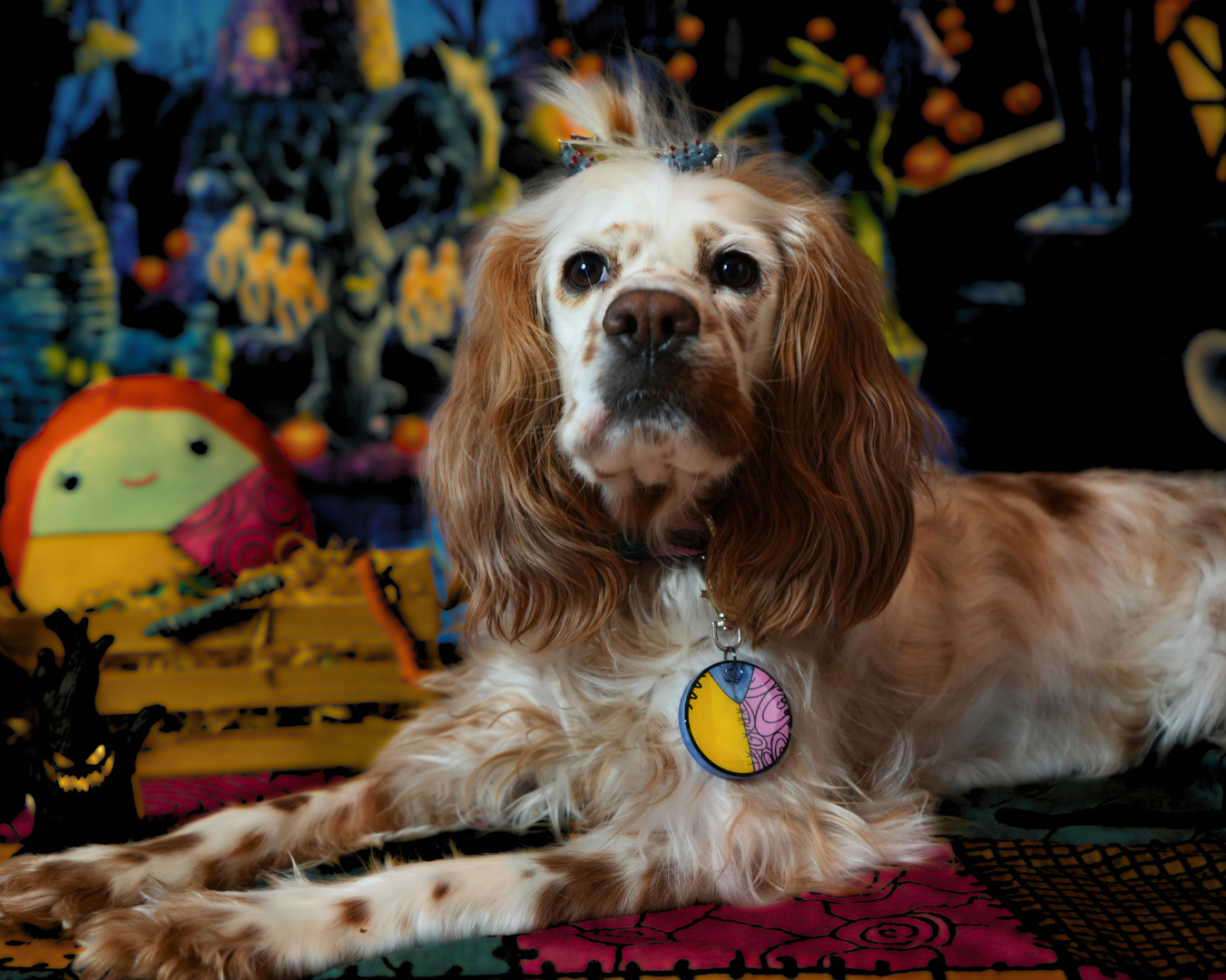 Placa redonda estilo Sally colgando de collar en perro café claro. Estilo de Halloween sin perder ternura.