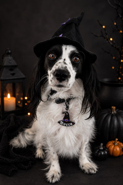 Munlloween Sombrero