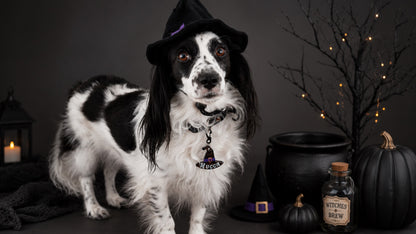Munlloween Sombrero