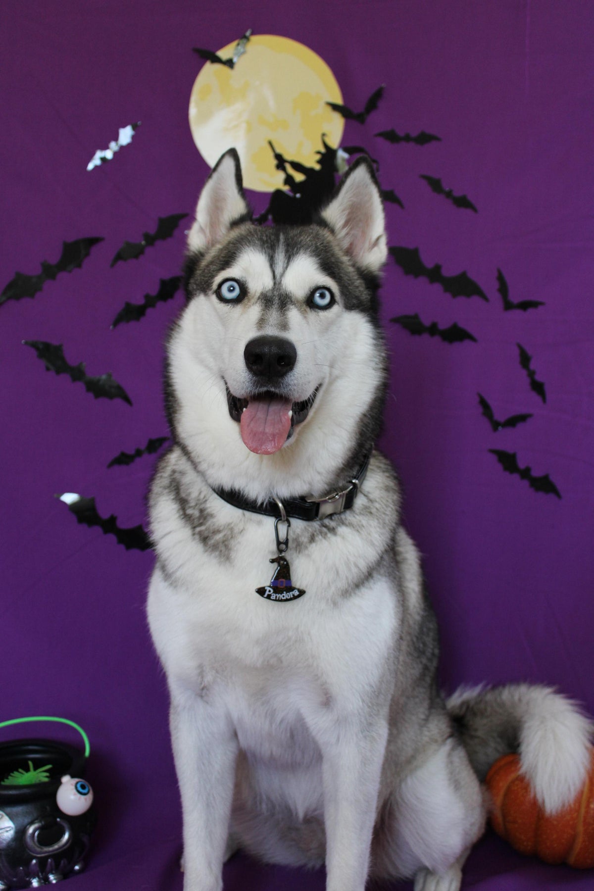 Munlloween Sombrero