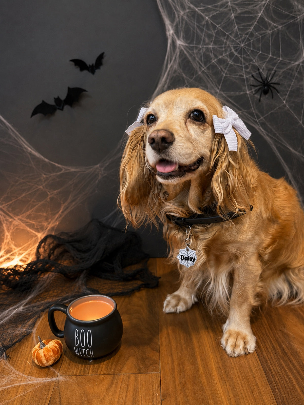 Munlloween Telaraña
