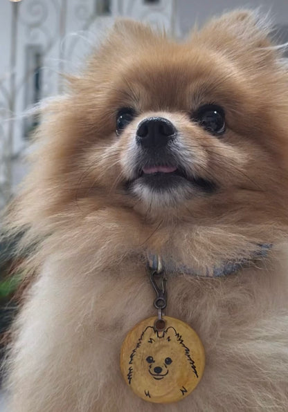 Placa redonda con carita de perrito. Diseño tierno y personalizado para perros pequeños.