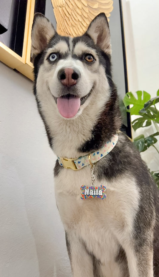 Husky con placa colorida “Naila” estilo dulce, diseño llamativo y resistente de MunMun.