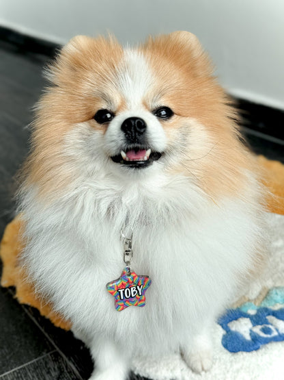 Pomerania con placa de estrella “Toby”, ideal para razas pequeñas con estilo divertido.